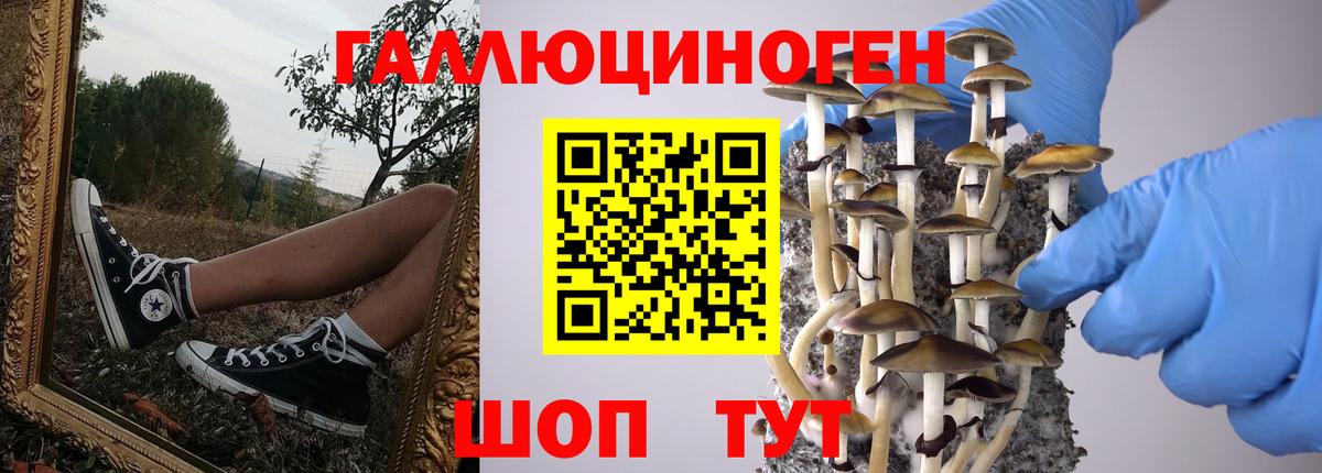 Галлюциногенные грибы GOLDEN TEACHER  Вход с VPN  где продают наркотики  Саров  Галлюциногенные грибы мухоморы 